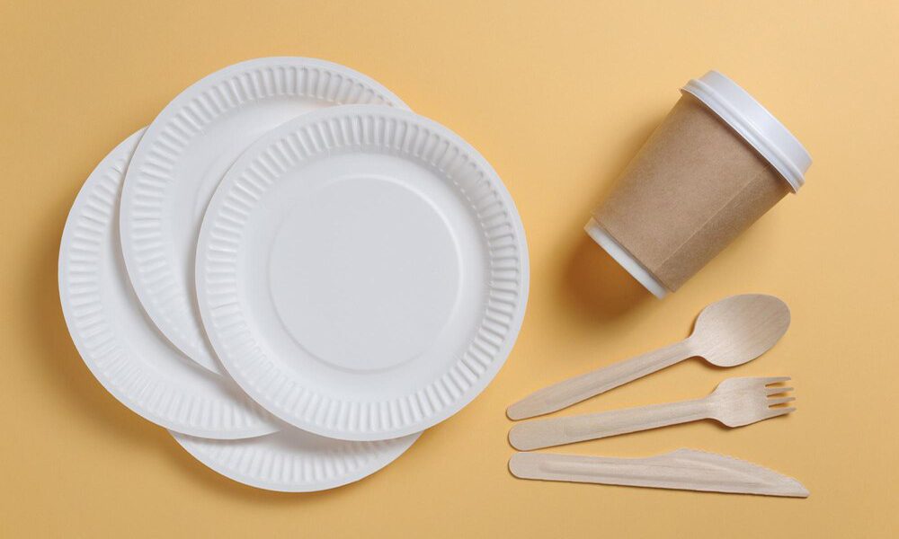 Paper Food Trays